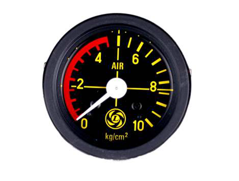 Instrument Cluster and Gauge Assemblies